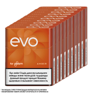 EVO Amber — Қанық темекі дәмі (1 блок) 